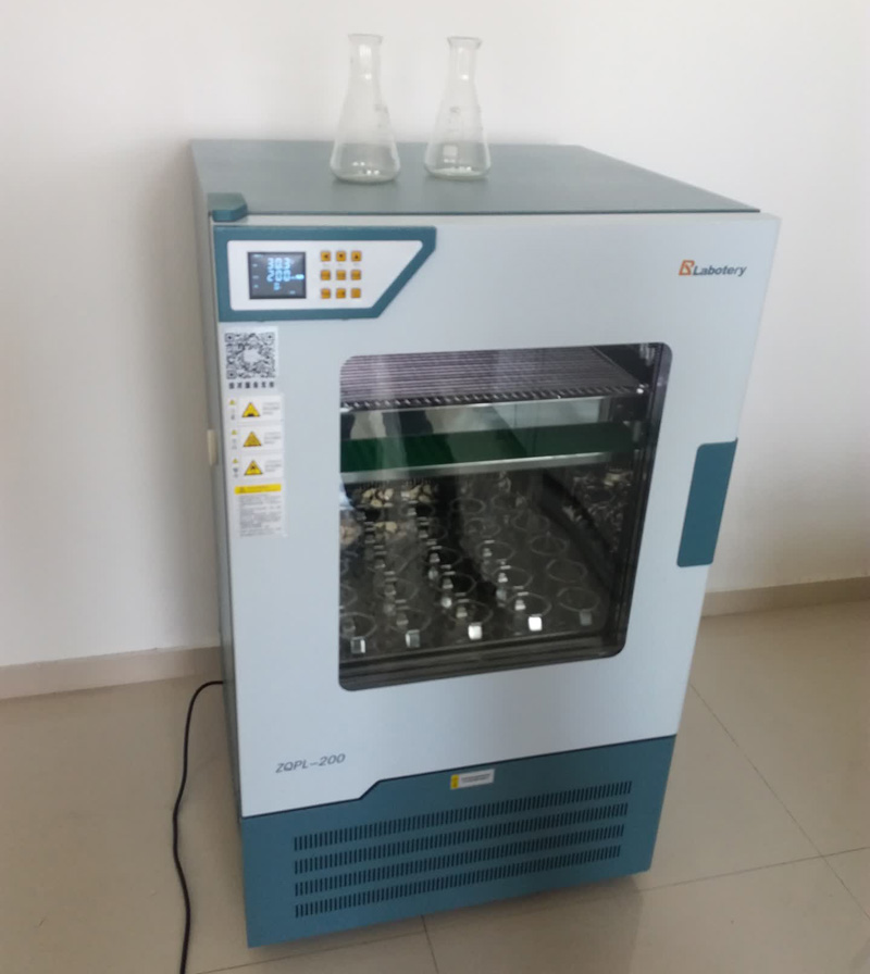 20210120/35937e55c8c8c42f6a4f0380cb611fb1.jpg 20210120/35937e55c8c8c42f6a4f0380cb611fb1.jpg